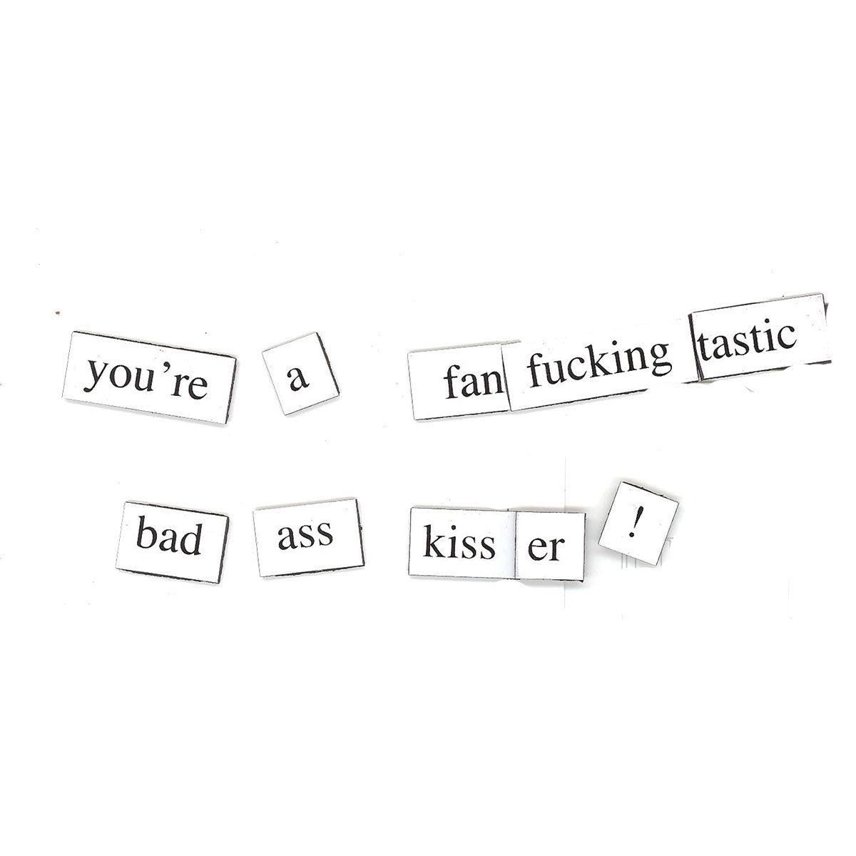 Magnetic Poetry Kit: The "F" Word