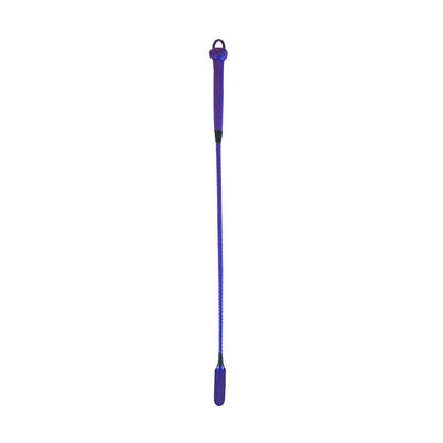 Riding Crop - Purple